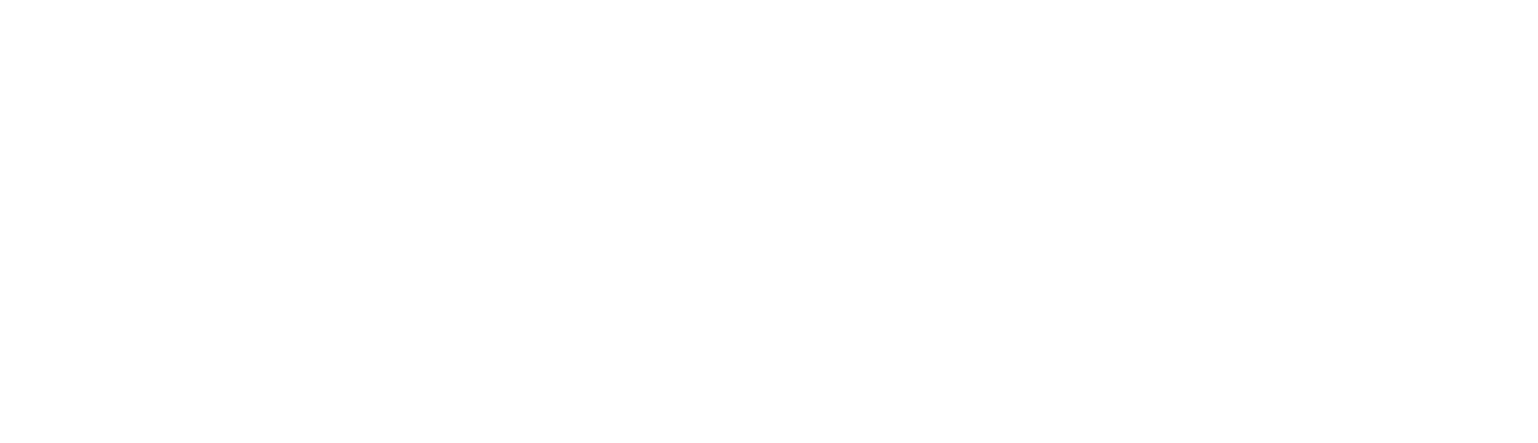 Sponsor